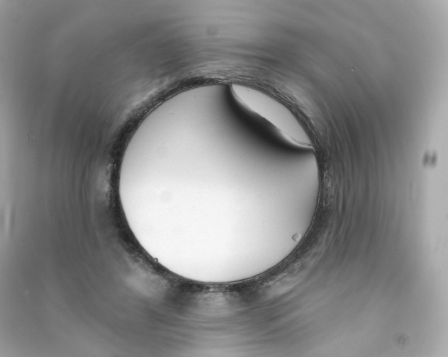 X0000090460404200708102115