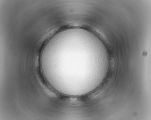 X0000090460406200708102115