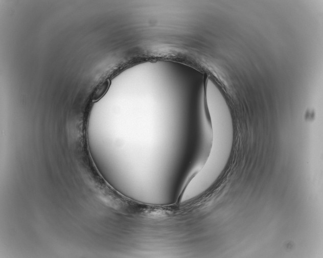 X0000090460407200708102115