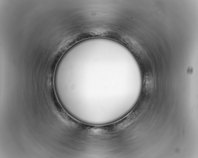 X0000090460408200708102115