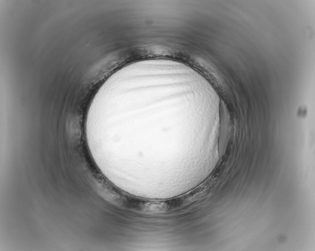 X0000090460410200708102115