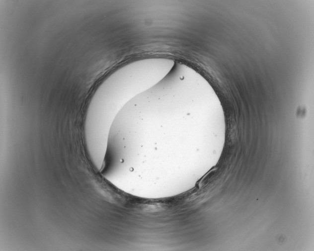 X0000090460411200708102115