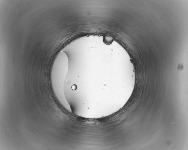 X0000090460415200708102115