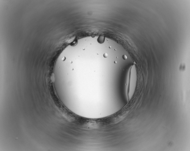 X0000090460416200708102115