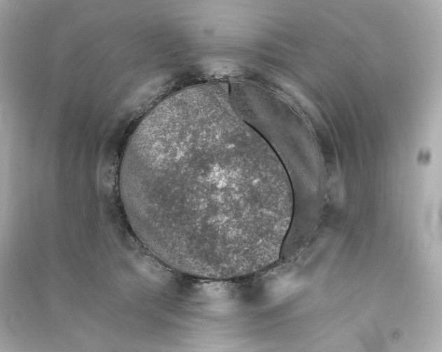X0000090460417200708102115