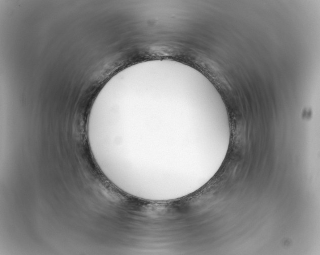 X0000090460418200708102115