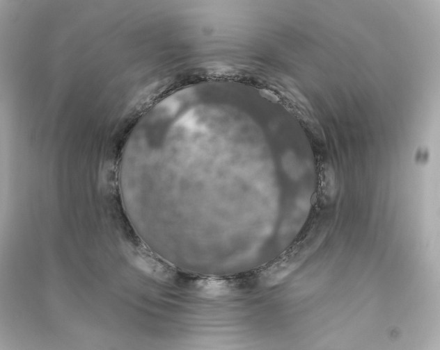 X0000090460419200708102115