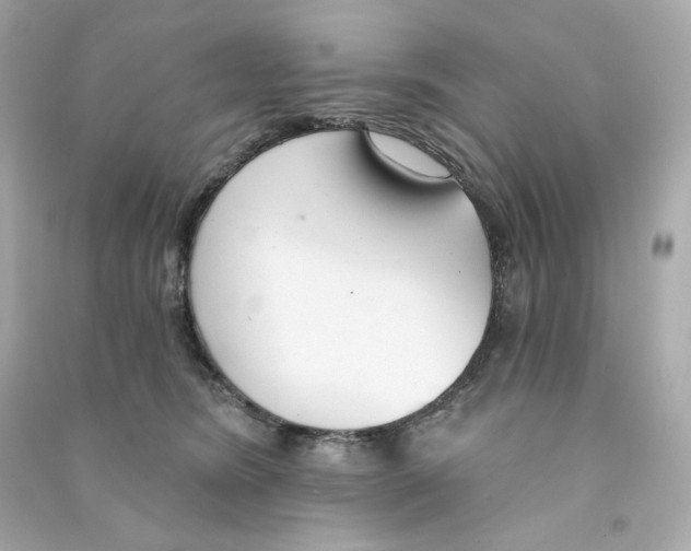 X0000090460420200708102115