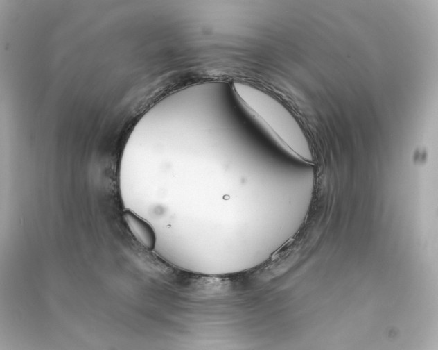 X0000090460421200708102115
