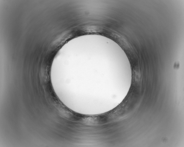 X0000090460422200708102115