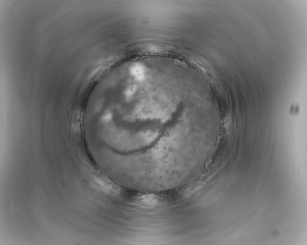 X0000090460423200708102115