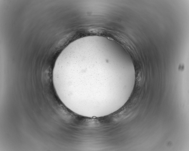 X0000090460424200708102115