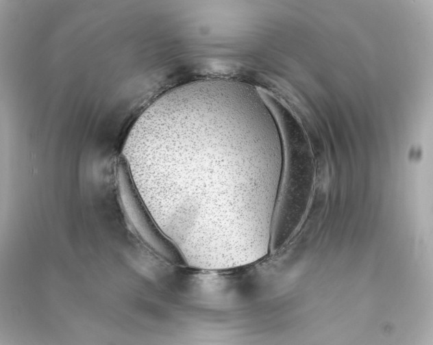 X0000090460425200708102115