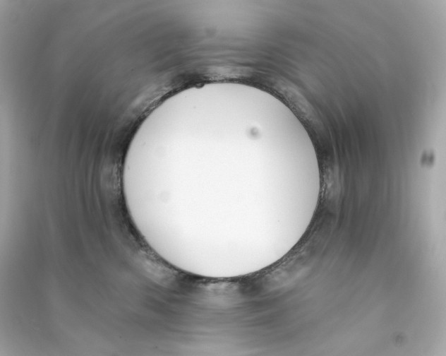 X0000090460426200708102115