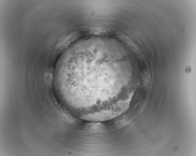 X0000090460427200708102115
