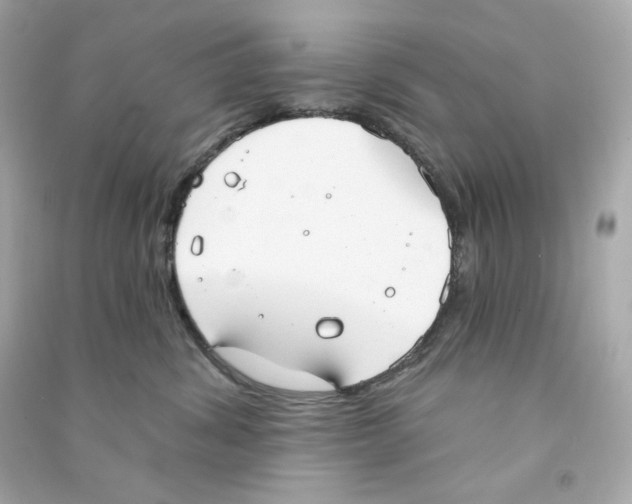 X0000090460428200708102115