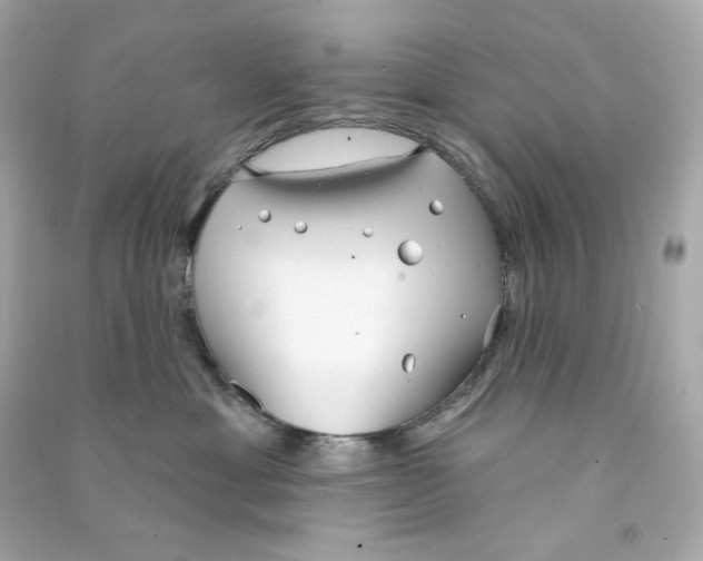 X0000090460429200708102115