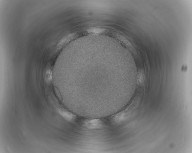 X0000090460431200708102115