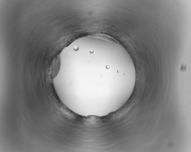 X0000090460432200708102115