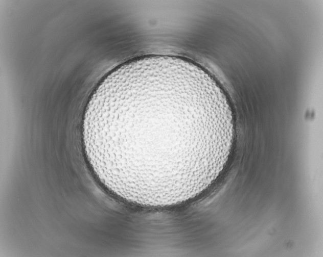 X0000090460433200708102114