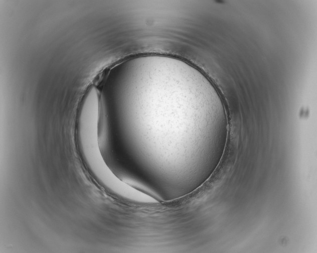 X0000090460434200708102114