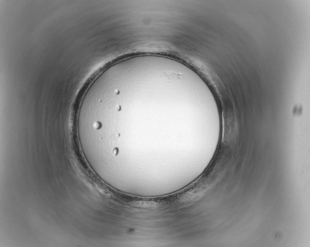 X0000090460435200708102114