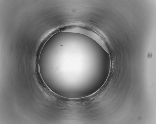 X0000090460436200708102114