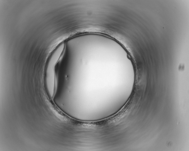 X0000090460437200708102114