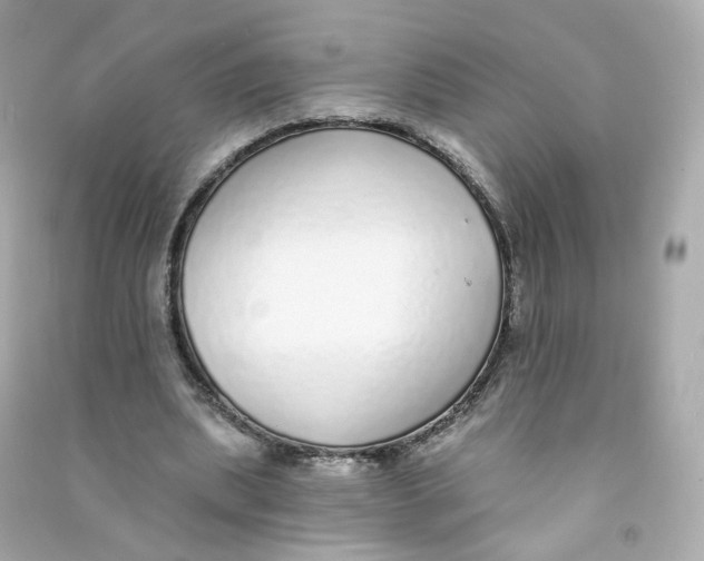 X0000090460439200708102115