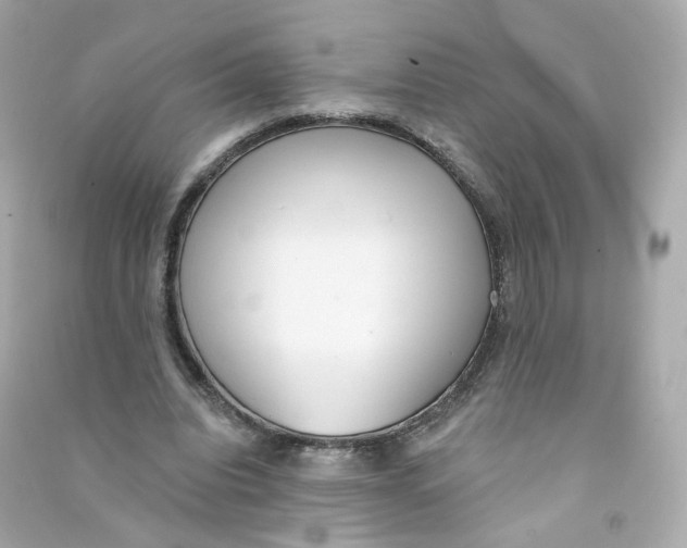 X0000090460440200708102115