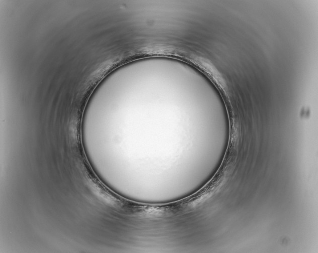 X0000090460441200708102115