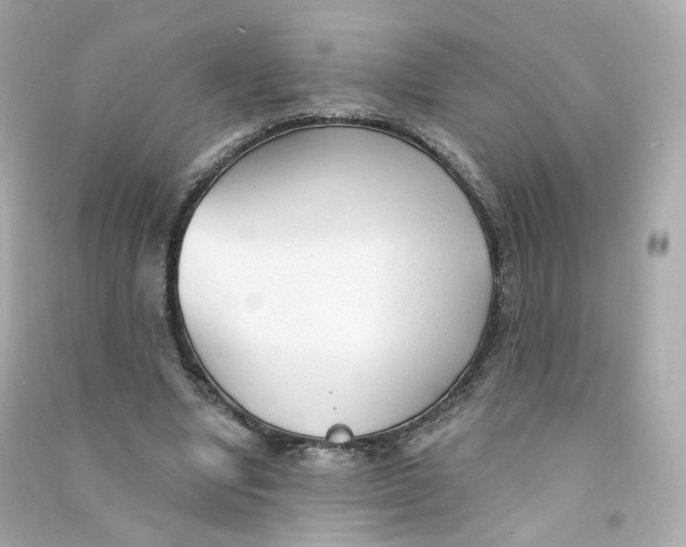 X0000090460442200708102115