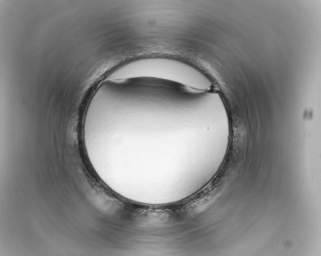 X0000090460443200708102115