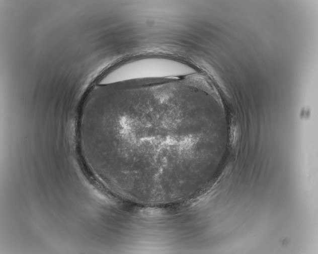 X0000090460444200708102115