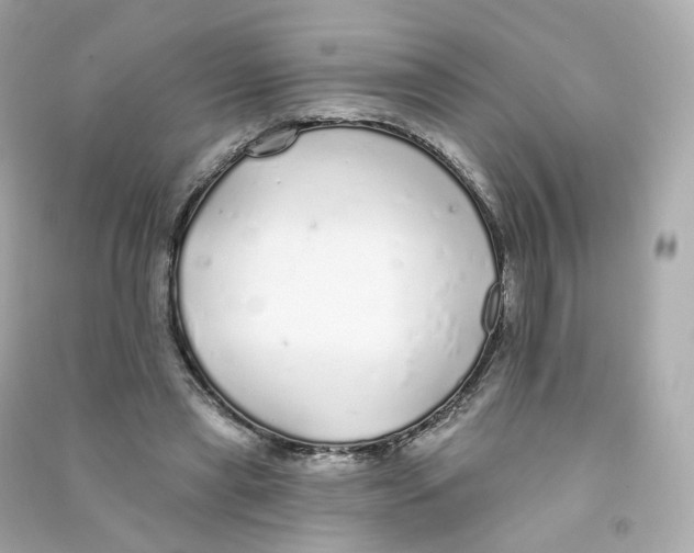 X0000090460445200708102115