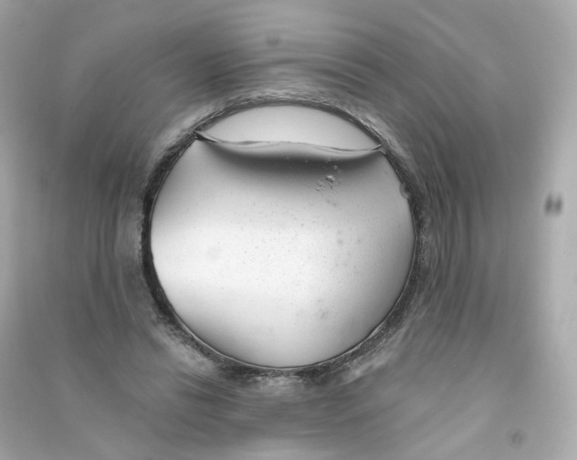 X0000090460446200708102115