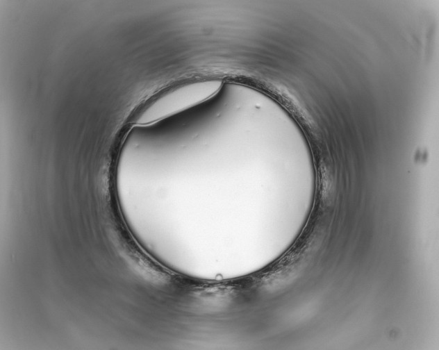 X0000090460447200708102115