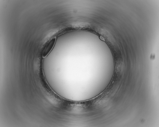 X0000090460448200708102115