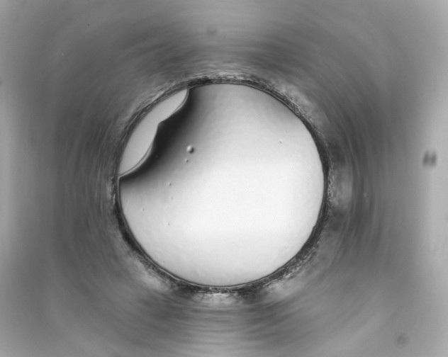 X0000090460449200708102115