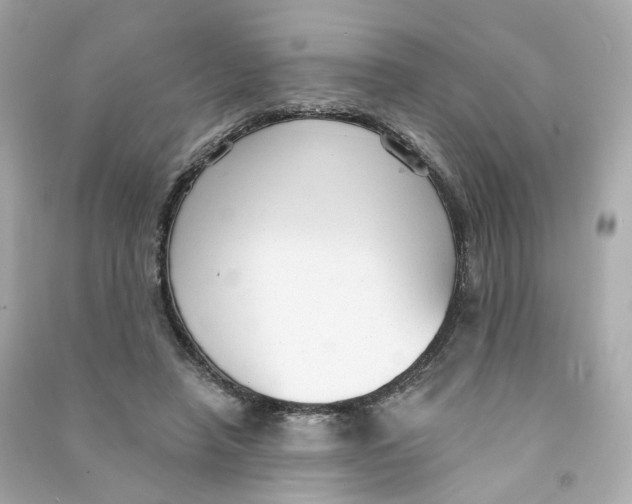 X0000090460450200708102115
