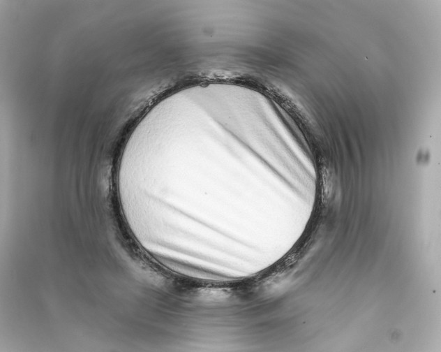 X0000090460451200708102115