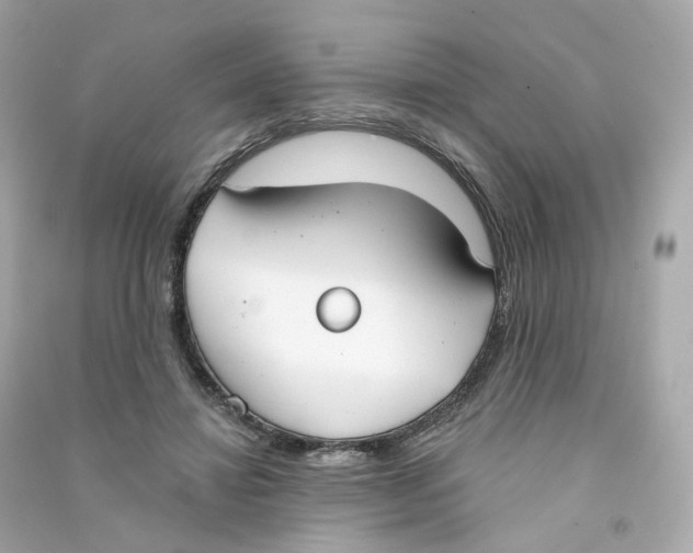 X0000090460452200708102115