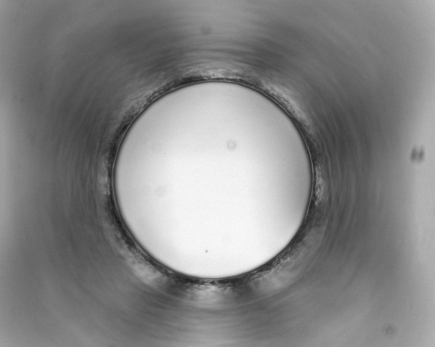 X0000090460453200708102115