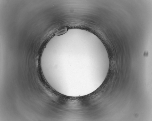 X0000090460454200708102115