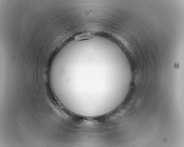 X0000090460455200708102115