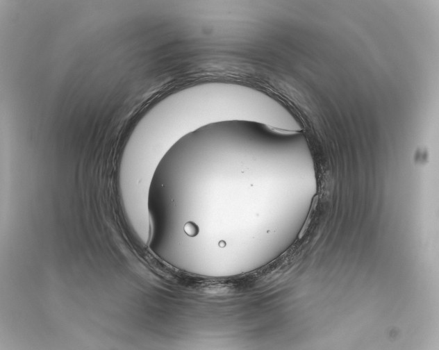X0000090460456200708102115