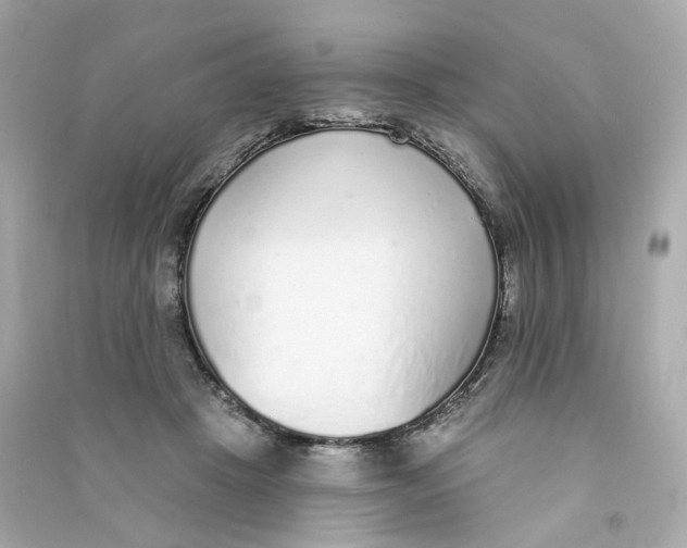 X0000090460457200708102115