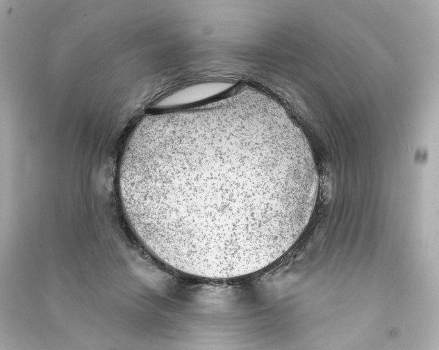 X0000090460458200708102115