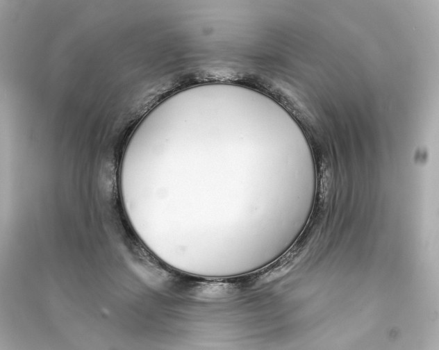 X0000090460459200708102115