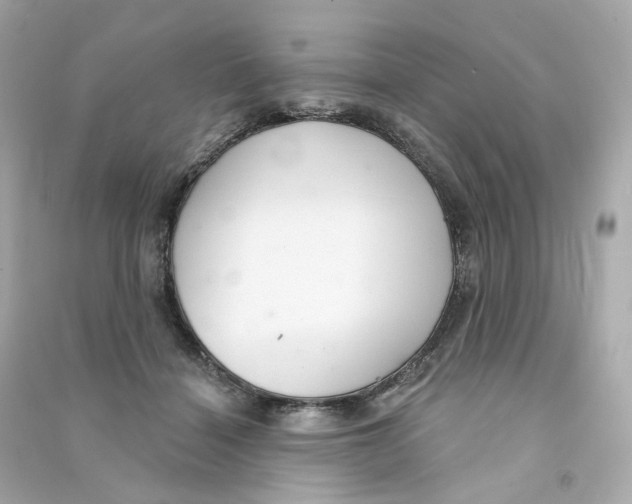 X0000090460460200708102115